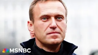 What Alexei Navalny wrote in his final letters from prison before dying  