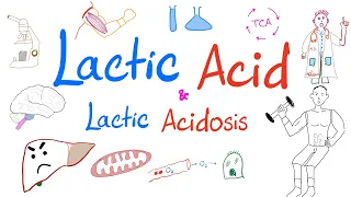 Lactic Acidosis | Lactic Acid | Lab 🧪 ...Why your muscles 💪 get sore! 😱