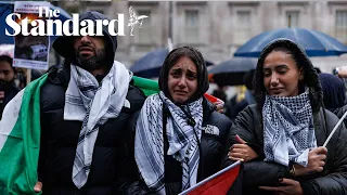 Pro-Palestine march: up to '100,000' people protest in central London