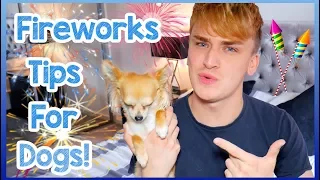 Keeping Dogs Calm During Fireworks! | How to Help Your Dog Relax on Bonfire Night and New Years Eve!