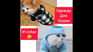 Одежда для животных быстро и просто ,выкройка