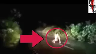 6 scary videos not for the faint of heart