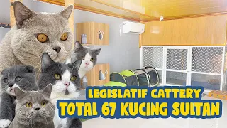 CATTERY PEJABAT TOTAL 67 KUCING SULTAN