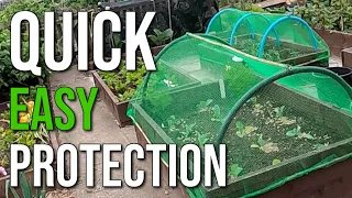 How to Build a HOOPHOUSE for a Raised Bed Garden | Super Quick Hoop Protection for Raised Beds
