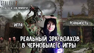 РЕАЛЬНЫЙ ВОЛХОВ с игры "S.T.A.L.K.E.R.: Зов Припяти"