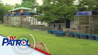 KBYN: Animal lover tinupad ang pangarap na magka-zoo | TV Patrol