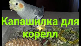 Капашилка для корелл