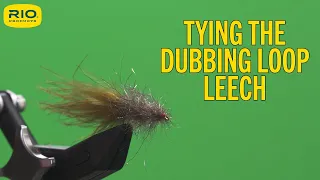 Tying The Fly - Dubbing Loop Leech