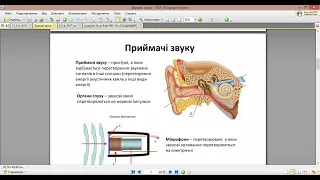 Звукові  хвилі. Гучність звуку та висота тону. Інфра та ультразвуки.