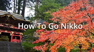 How To Go Nikko From Tokyo