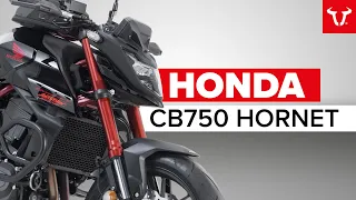 Wie du die neue Honda CB 750 Hornet noch AUFRÜSTEN kannst!