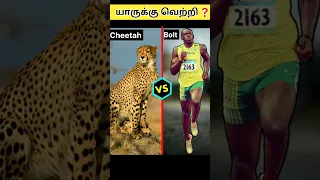 சிறுத்தை vs Usain bolt யார் வெற்றியாளர் 😜😜