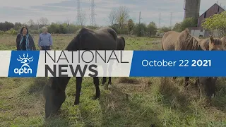 APTN National News October 25, 2021 – Getting real about reconciliation, Looking back on 50 years