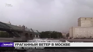 Жертвами урагана в Москве стали более 10 человек