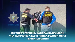 100 тисяч гривень хабара: затримали “на гарячому” заступника голови ОТГ з Тернопільщини
