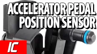 Accelerator Pedal Position Sensor | Tech Minute