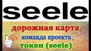 Seele.Обзор Команды,дорожной карты и токена