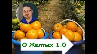 Желтые томаты. Кое-что о выращивании и конкретно о гибриде.