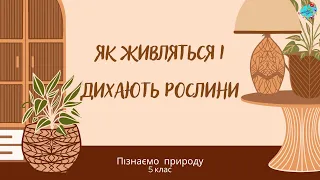 Як живляться і дихають рослини?