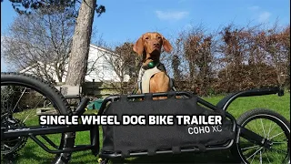 Ep 9 Burley coho xc single wheel dog bike trailer