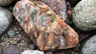 Oregon Only Stones: RockHounding Opal Jasper Agate 2019