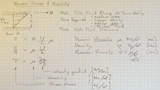 Viscous Forces and Viscosity