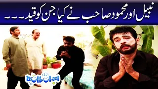 Bulbulay | Momo | Mehmood Sahab | Nabeel Khoobsurat