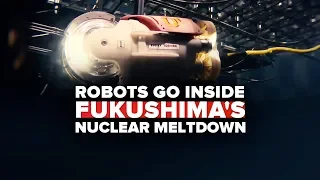 How robots are cleaning up Fukushima's nuclear disaster