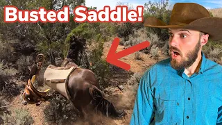 I Lost an EXPENSIVE Stallion! (Wild Chase Gone Wrong!)