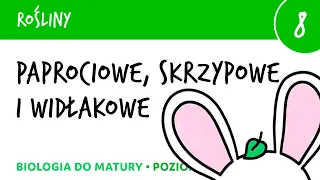 Paprocie, skrzypy, widłaki - paprotniki - Rośliny 8 - matura liceum biologia rozszerzona