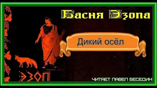 Дикий осёл  —Басня Эзопа —читает Павел Беседин