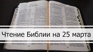 Чтение Библии на 25 Марта: Псалом 84, Послание Римлянам 12, Второзаконие 15, 16