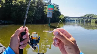 4 Hours of RAW and UNCUT Ultralight Fishing with Gulp Minnows | Emory River