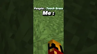 When people tell me to touch grass | #transition #short #shorts #minecraft #minecraftedit #edit