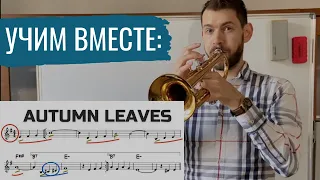 🎺 УЧИМ ВМЕСТЕ: Autumn Leaves (Осенние листья) by Joseph Kosma + ноты, минусовки