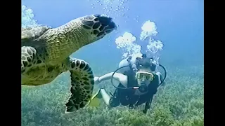 Parque Nacional Fernando de Noronha