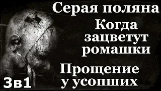 Истории на ночь (3в1): 1.Серая поляна, 2.Когда зацветут ромашки, 3.Прощение у усопших