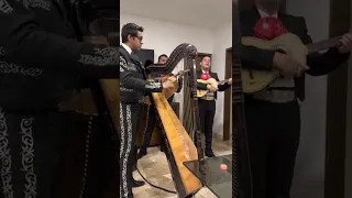 Mariachi Juvenil Camperos León Gto.Cancion /Corazon de Niño/ Piano /Bebu Silvetti