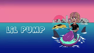 Lil Pump - "Iced Out" ft. 2 Chainz (Official Audio)