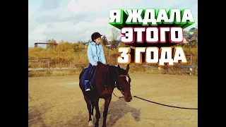 Моя первая тренировка по верховой езде ! ! !