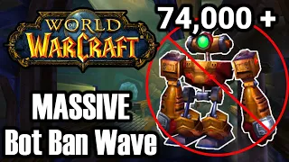 Blizzard Responds! Massive Bot Ban Wave for World of Warcraft!