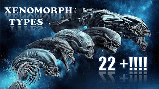 All  XENOMORPH Types  Explained