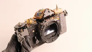 1979 Minolta XD-5 - Repair and Restore