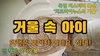 독일 미스터리 소설 특집 | 치푸리아누스의 거울 | 테오도르 슈토름