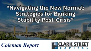 Navigating the New Normal: Strategies for Banking Stability Post-Crisis