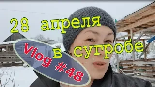 28 апреля. Вот так весна // Юлия Артуровна