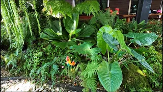 MINIMAL TROPICAL GARDEN our favorite corner