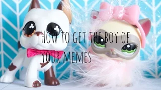 LPS How to Get the Boy of Your Memes