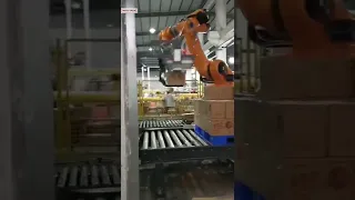 Robot hand heavy loading ability palletizing machine carton box palletizer equipment