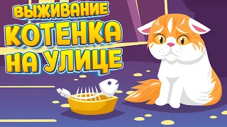 ВЫЖИВАНИЕ КОТЕНКА НА УЛИЦЕ ( A Street Cat's Tale )